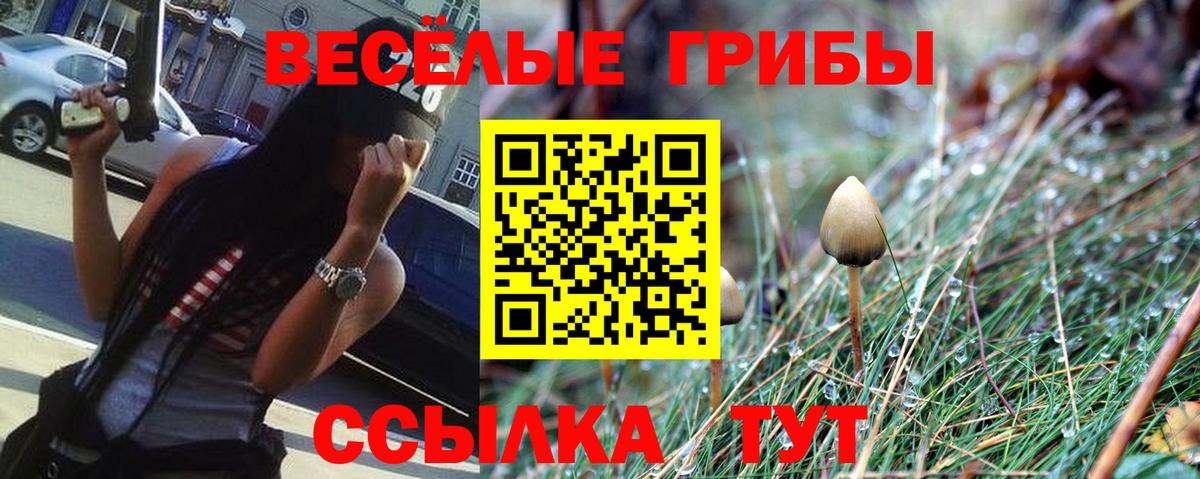 Псилоцибиновые грибы мицелий  Вход с VPN  Зеленогорск 